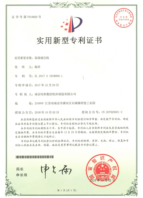  <span style="color:#000000;">Patent Certificate</span> 