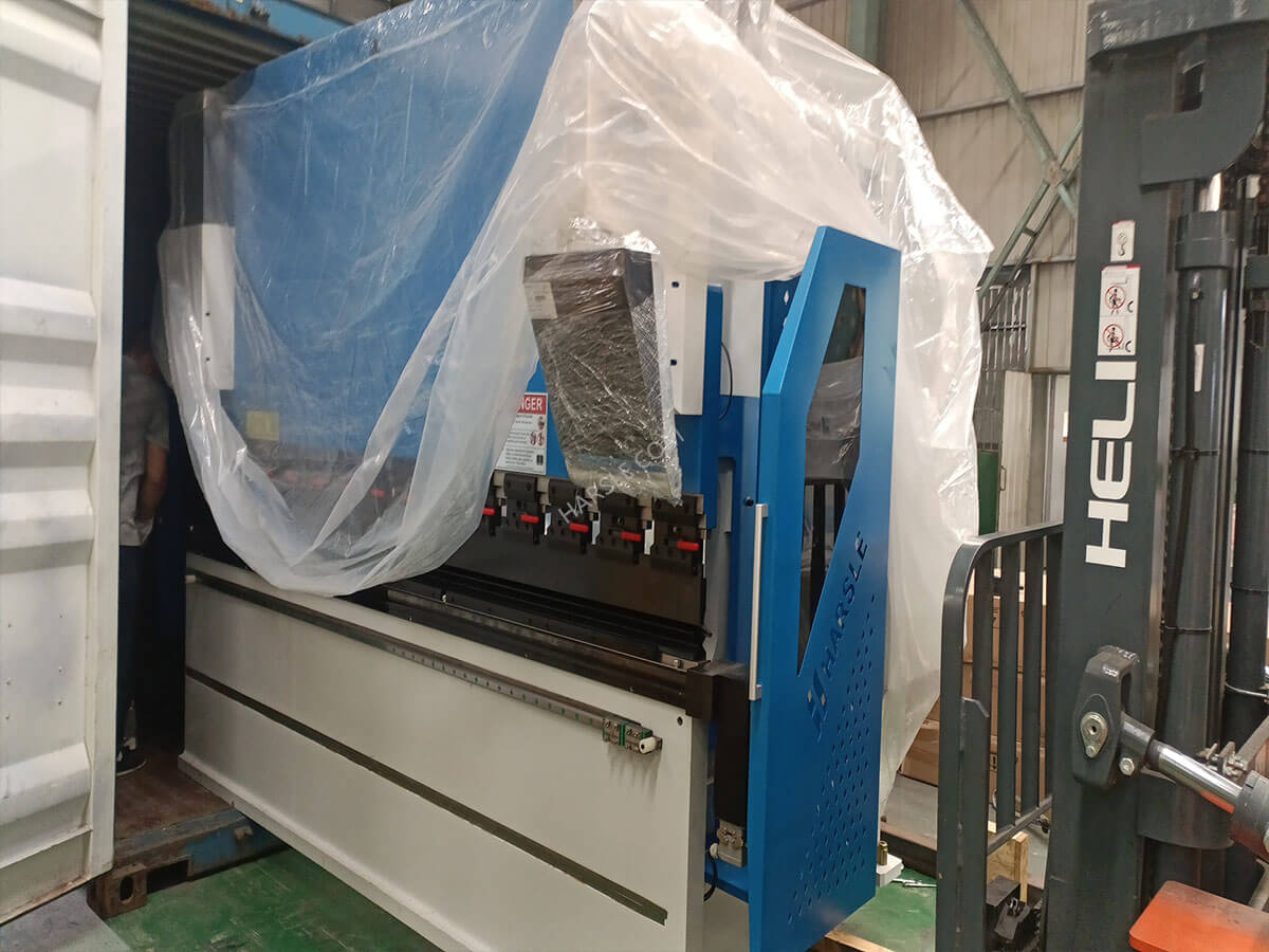 Brasil-We67k-200t3200 Brazo de prensa hidráulica CNC (2)
